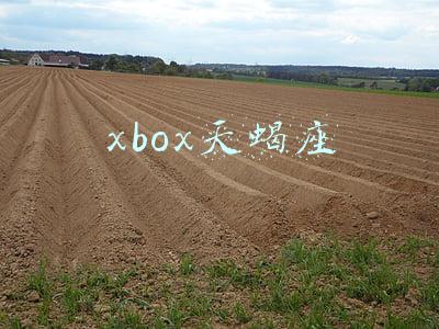 xbox天蝎座