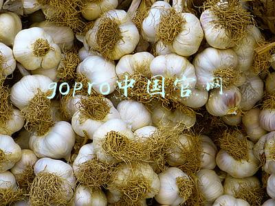 gopro中国官网