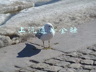 上汽通用金融