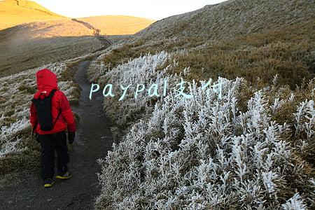 paypal支付