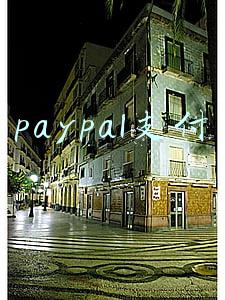 paypal支付