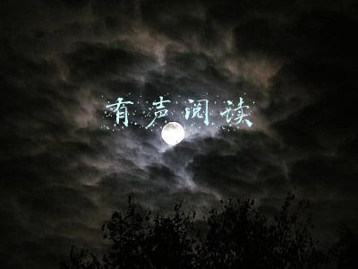 有声阅读