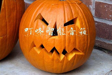 叮咚智能音箱