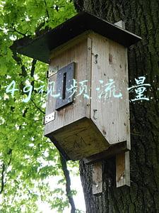 联通4g视频流量包月
