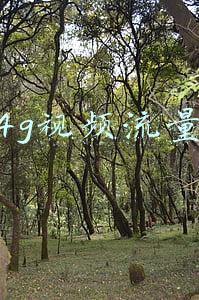 联通4g视频流量包月