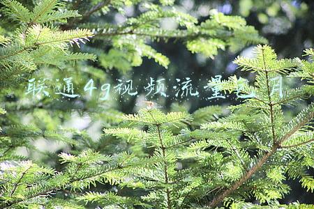 联通4g视频流量包月