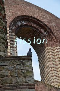fission