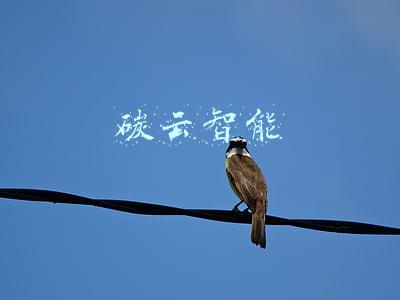 碳云智能上市(中源协和：深圳碳云业务尚处于投入期)