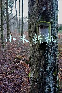 小米新机