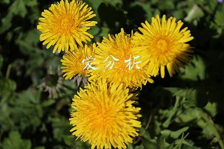 爱分析
