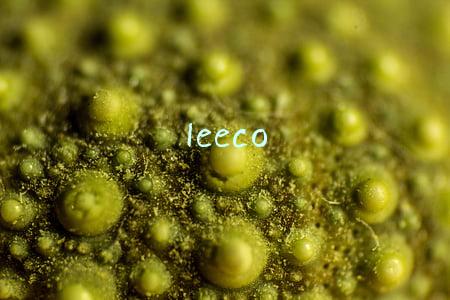 leeco