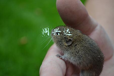 同兴达