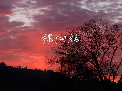 裸心社