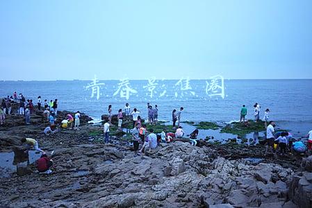 青春影焦圈