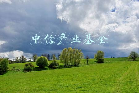中信产业基金是国企吗(「经纬下午茶」光峰科技首季利润降67%，中信产业基金提前套现)