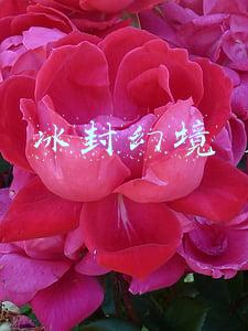 冰封幻境