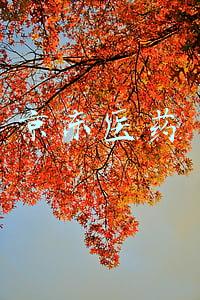 京东医药