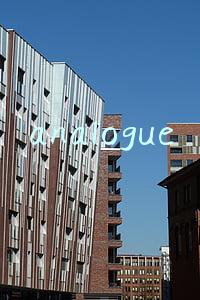analogue