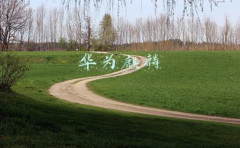 华为麒麟