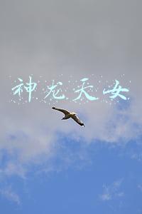 神龙天女
