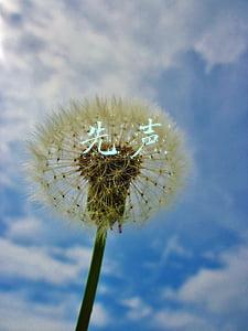 先声药业(先声药业(02096)委任唐任宏为联席首席执行官)