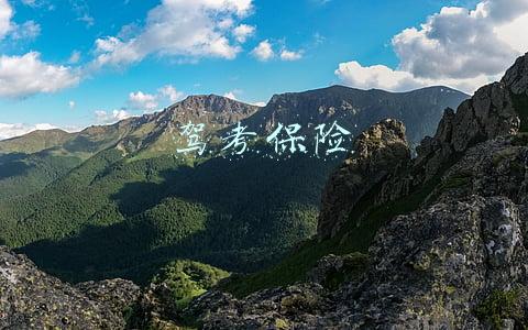 驾考保险