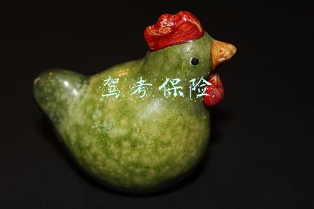 驾考保险