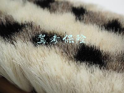 驾考保险