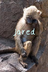 jared