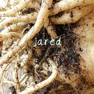 jared
