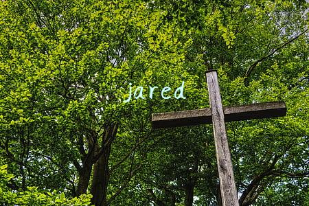 jared999(从最贵10大域名中分析域名投资方向以及区块链域名的价值)