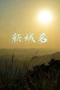 新域名找金苹果-下拉(潜心探索 心驻公正 一丝不苟 天下无侵——记兰州知识产权法庭成长历程)