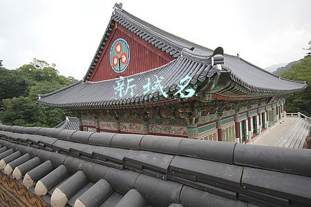 域名抢注(中国首例域名抢注案)