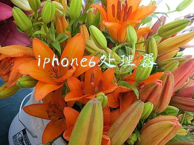 iphone6处理器