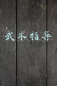 武术指导