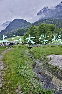 上海大学城