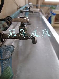 冠军皮肤