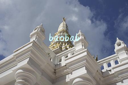 baobab