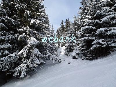 webank