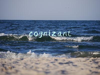 cognizant公司(高知特达成15亿美元股票回购协议)