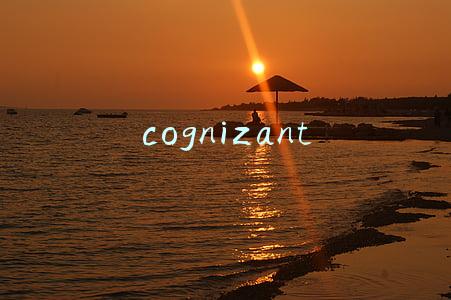 cognizant