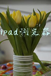 ipad浏览器