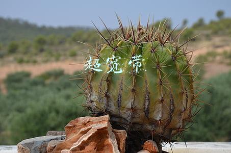 超宽带