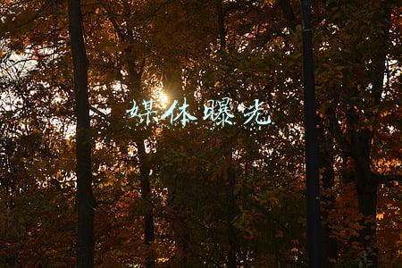 媒体曝光