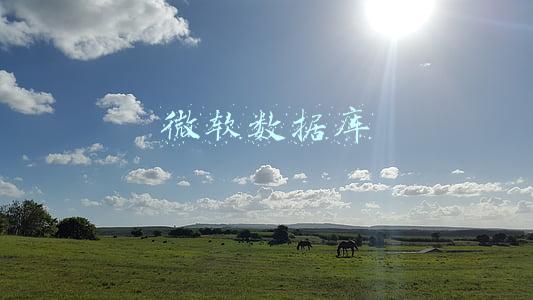 微软数据库