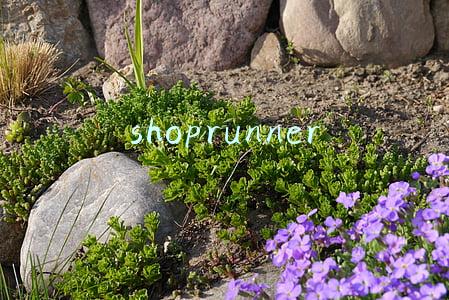 shoprunner