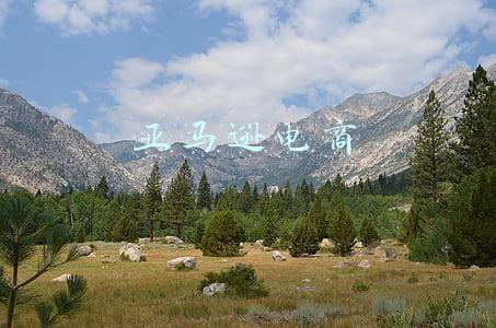 亚马逊电商
