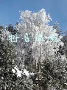 抖音温婉