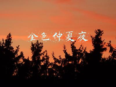金色仲夏夜