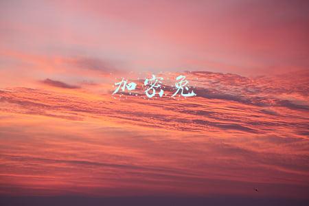 加密兔